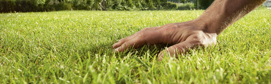 Saatgut-duenger-Header
