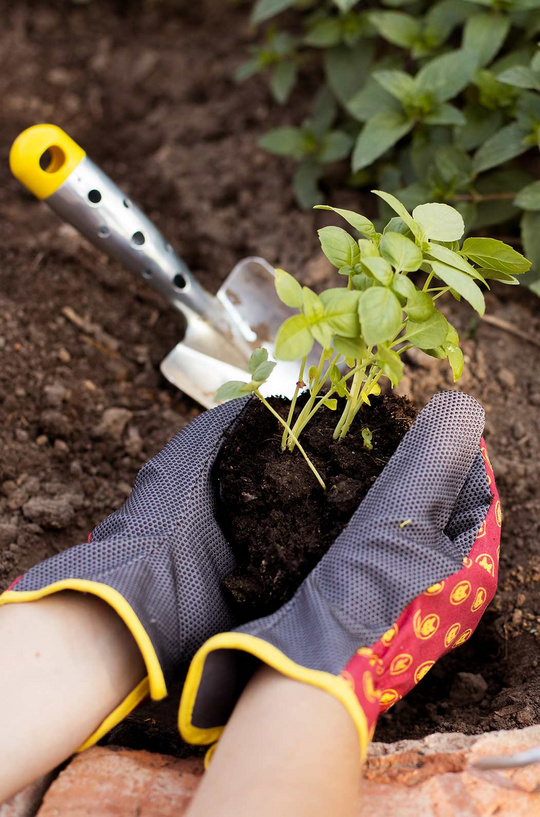 Gartenhandschuhe_Wolf-Garten_Mai-_10_