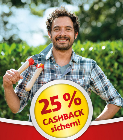  WG24_0723_CASHBACK-Herbst_Teaser-Website_240718_v1.jpg