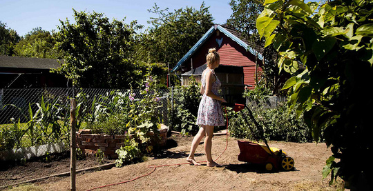 Garten_Beet_vertikutieren_WG