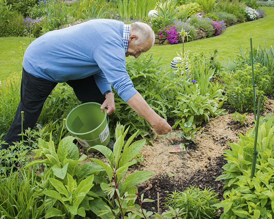 schneckenbekaempfung_garten