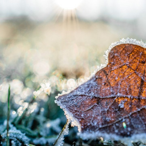 Der Dezember ist ein
