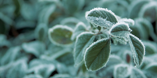 WOLF-Garten: Schneeräumen im Winter