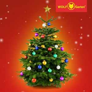 Merry X-Mas!