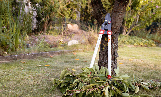 Astschere_Baum_Laub_Wolf-Garten