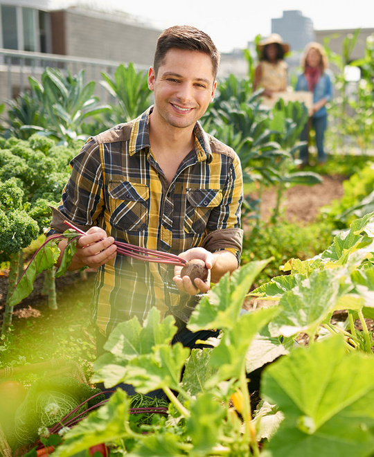 Gemeinschaftsgarten_WG