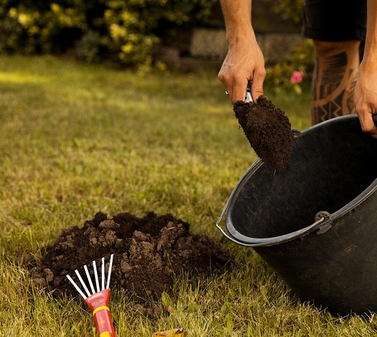 Maulwuerf_Huegel_Erde_Wolf-Garten_Juli-6