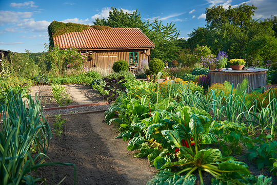 Nutzgarten mit Gartenhaus