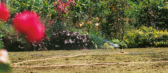 Garten_waessern_schlauch_automatisch