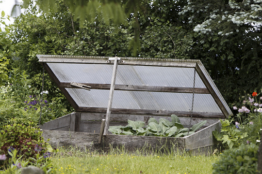 Selbstgebautes Frühbeet im Garten