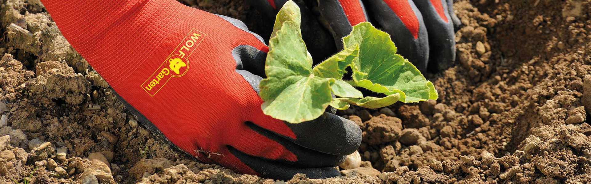 GartenHandschuhe Gartenarbeit sicher im Griff WOLFGarten