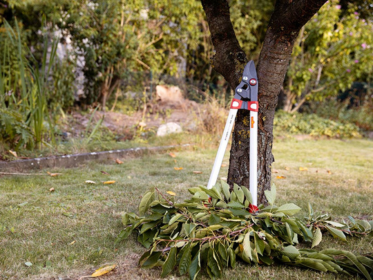 Astschere_Baum_Laub_Wolf-Garten_August-6