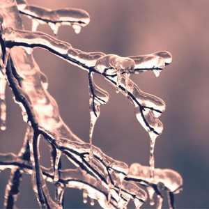 Der Januar ist im Ga
