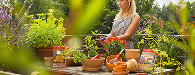 Frau pflegt Ihre Balkonpflanzen