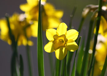 April_erleben