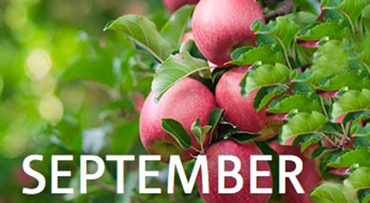 Kompetenz und Qualität für Ihren Garten | WOLF-Garten