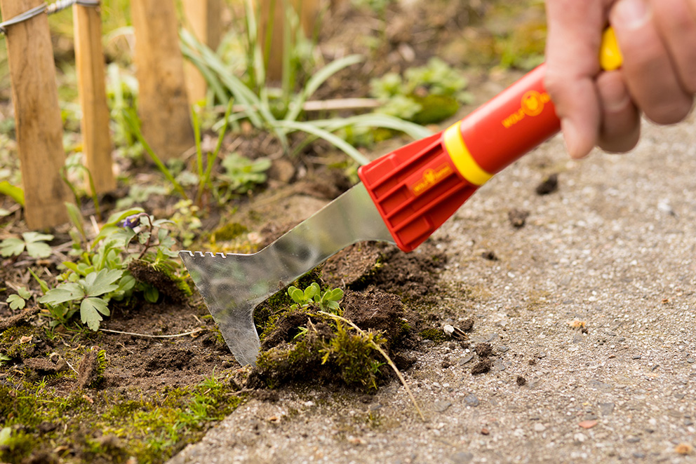 Startseite_Gartenkalender_Februar