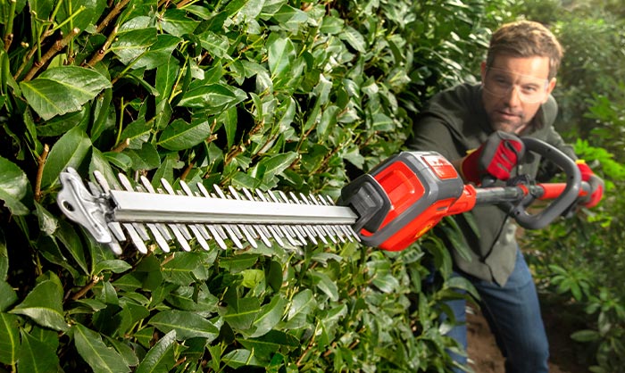 Hedge trimmer