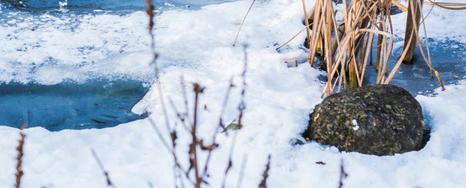 Schneebedeckter Boden