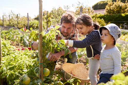 familie_garten