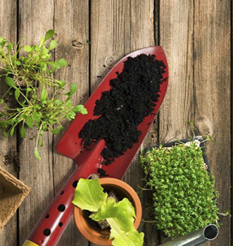 Gartenwerkzeug und Vorziehpflanzen