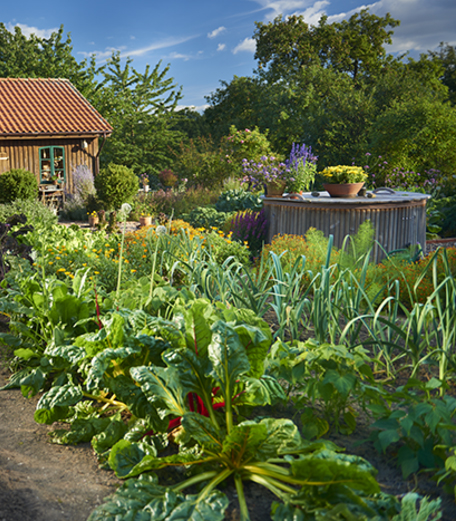 garten_bauerngarten