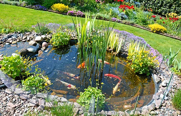 Wichtiges Zubehör für den Gartenteich WOLFGarten